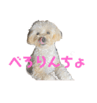 月月火水木金金（個別スタンプ：22）