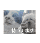 月月火水木金金（個別スタンプ：27）
