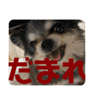 月月火水木金金（個別スタンプ：28）