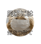 月月火水木金金（個別スタンプ：29）