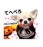 キキとララハロウィン甘え語スタンプ（個別スタンプ：16）