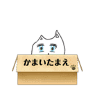 保育園児画伯によるネコチャン！！！（個別スタンプ：13）