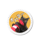 黒猫こんぶの日常会話スタンプ【sn】（個別スタンプ：1）