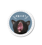 黒猫こんぶの日常会話スタンプ【sn】（個別スタンプ：4）