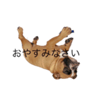 使える小野塚BOB（個別スタンプ：3）