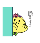 きくりん（たけふ菊人形マスコットキャラ）（個別スタンプ：33）