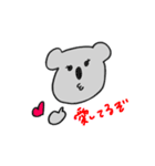 配信するコアラ（個別スタンプ：1）