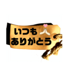これでもか！！ ありがとうstamp ＆ 返事（個別スタンプ：17）