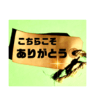 これでもか！！ ありがとうstamp ＆ 返事（個別スタンプ：35）