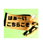 これでもか！！ ありがとうstamp ＆ 返事（個別スタンプ：39）