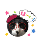 猫のスタンプ第二（個別スタンプ：25）