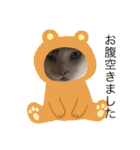 猫のスタンプ第二（個別スタンプ：32）