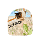 花と琥珀と実々-3（個別スタンプ：2）