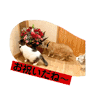花と琥珀と実々-3（個別スタンプ：9）