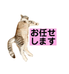 花と琥珀と実々-3（個別スタンプ：28）