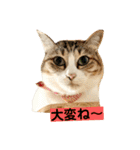 花と琥珀と実々-3（個別スタンプ：30）