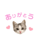 ポポム〜（個別スタンプ：7）