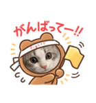 ポポム〜（個別スタンプ：16）