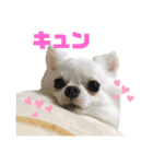 名前はぼくです（個別スタンプ：1）