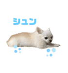 名前はぼくです（個別スタンプ：2）