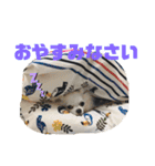 名前はぼくです（個別スタンプ：4）
