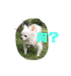 名前はぼくです（個別スタンプ：6）