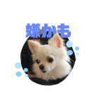 名前はぼくです（個別スタンプ：8）