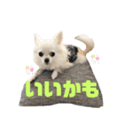 名前はぼくです（個別スタンプ：9）