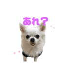 名前はぼくです（個別スタンプ：10）
