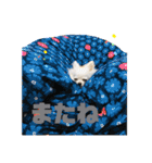 名前はぼくです（個別スタンプ：11）