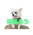 名前はぼくです（個別スタンプ：18）