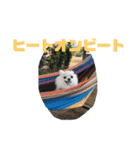 名前はぼくです（個別スタンプ：19）