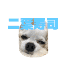 名前はぼくです（個別スタンプ：20）