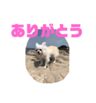 名前はぼくです（個別スタンプ：21）