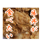 【牛丼専用】牛丼が食べたい（個別スタンプ：15）