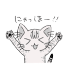 ねこのスピカ（個別スタンプ：1）