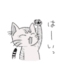 ねこのスピカ（個別スタンプ：36）