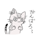 ねこのスピカ（個別スタンプ：38）