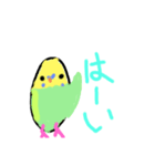ほぼ、毎日使える手書きインコスタン2（個別スタンプ：2）