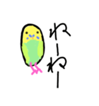 ほぼ、毎日使える手書きインコスタン2（個別スタンプ：8）