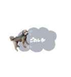 chocoshan様専用（個別スタンプ：5）