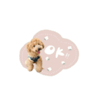 chocoshan様専用（個別スタンプ：6）