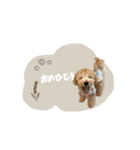 chocoshan様専用（個別スタンプ：9）