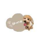 chocoshan様専用（個別スタンプ：13）