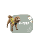 chocoshan様専用（個別スタンプ：14）