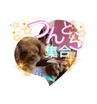 沖ぷー（個別スタンプ：2）