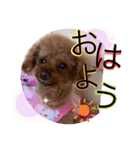 沖ぷー（個別スタンプ：3）
