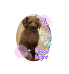 沖ぷー（個別スタンプ：5）
