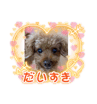 沖ぷー（個別スタンプ：6）