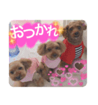 沖ぷー（個別スタンプ：7）